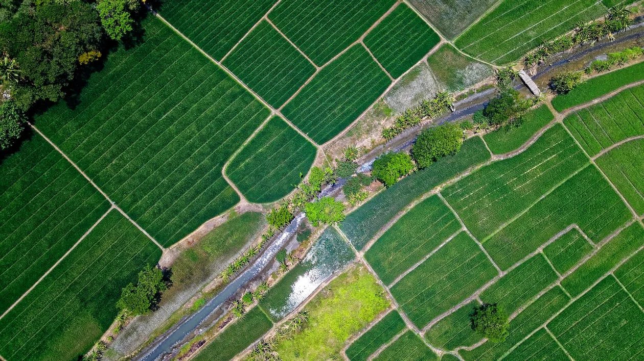 Field outlines on a satellite map